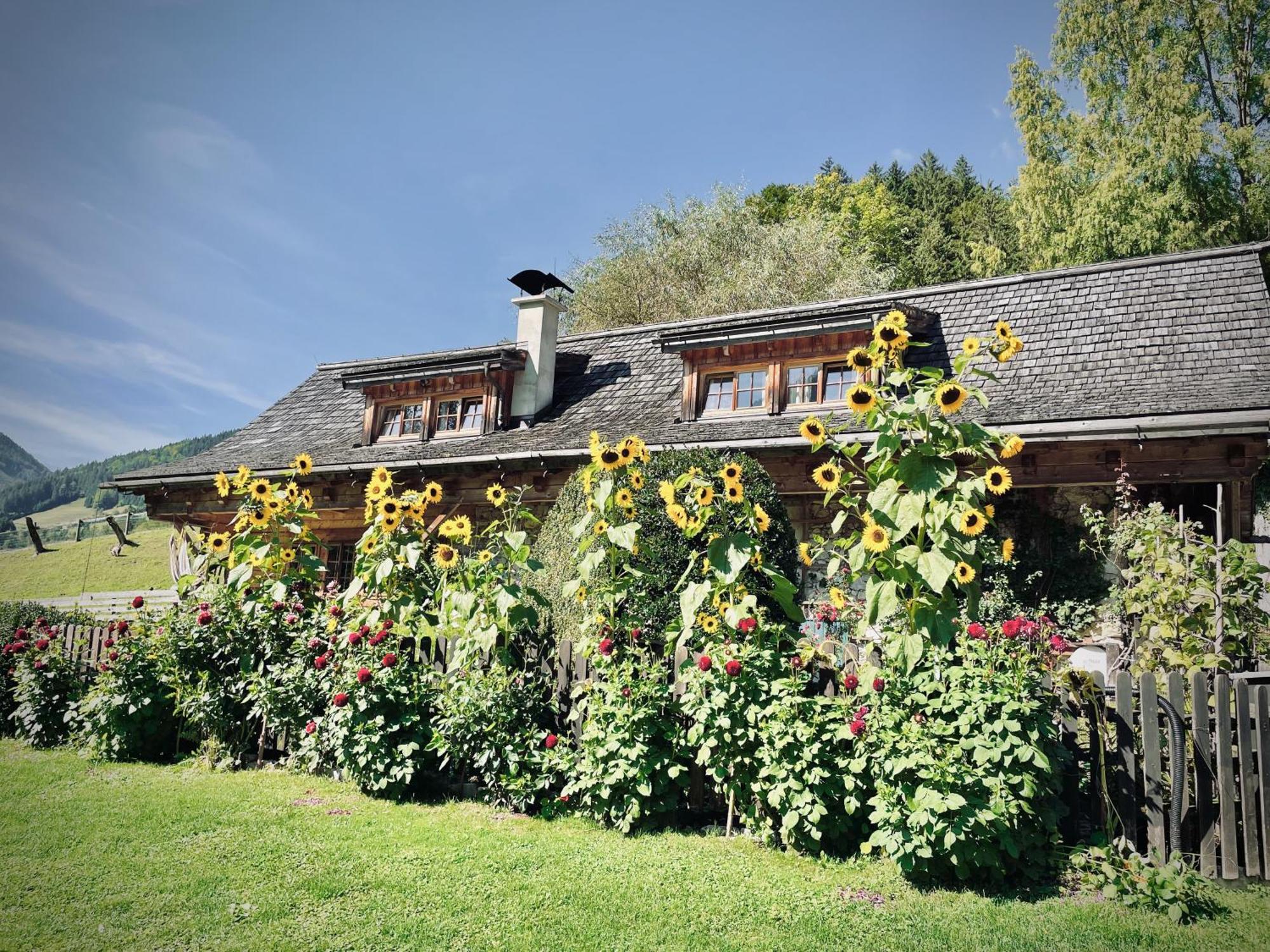 Rafting Camp Palfau Exterior foto
